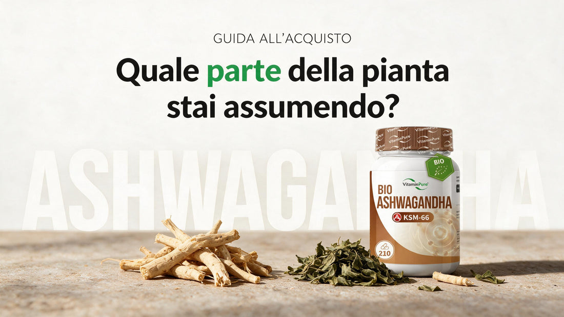 Come scegliere la migliore ashwagandha: guida pratica