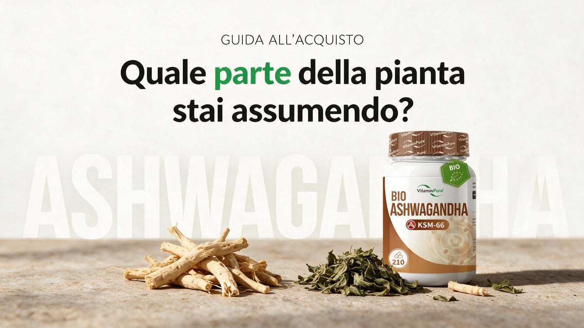 Come scegliere la migliore ashwagandha: guida pratica