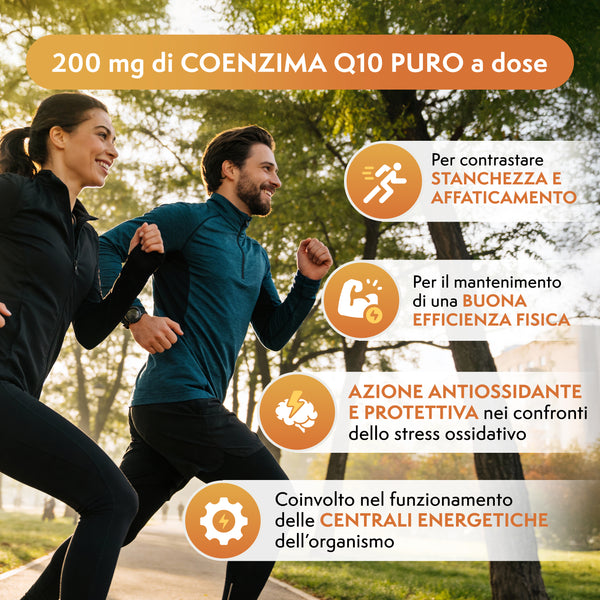 Coenzym Q10 